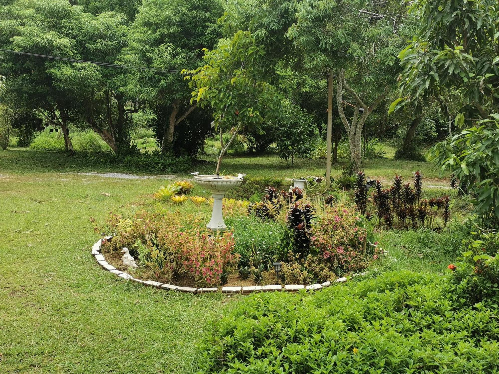 Вілла Betong House In The Garden Екстер'єр фото
